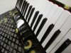 Aliante 3 voice 37-96 decorated piano accordion